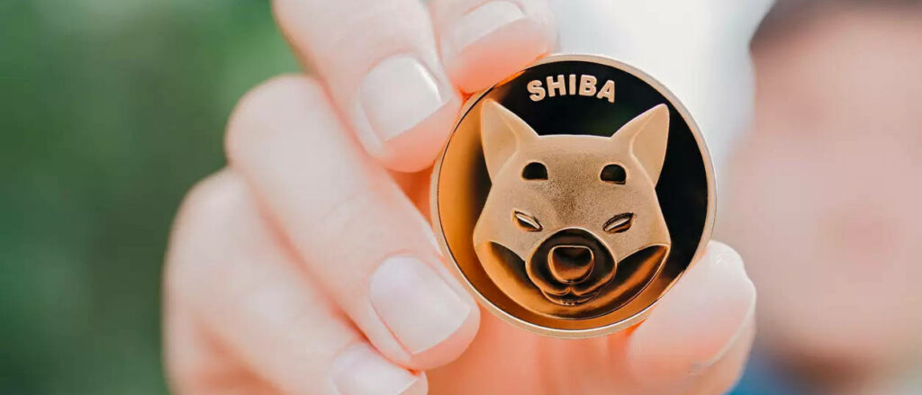 Who accepts shiba inu coin as payment